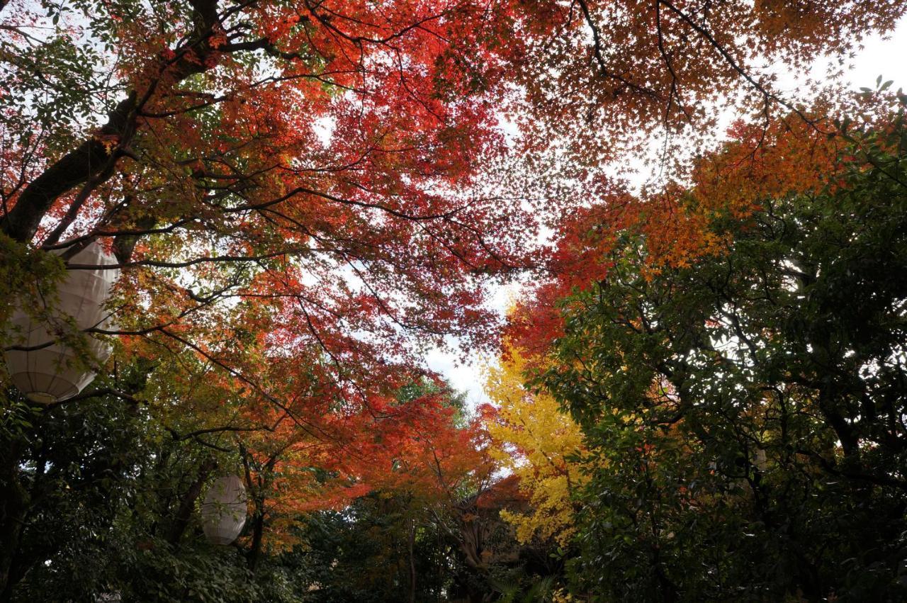 Suminagi Shinpontocho Aparthotel เกียวโต ภายนอก รูปภาพ